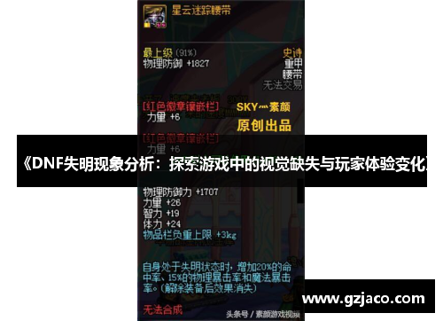 《DNF失明现象分析：探索游戏中的视觉缺失与玩家体验变化》