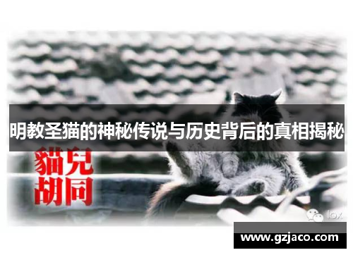 明教圣猫的神秘传说与历史背后的真相揭秘
